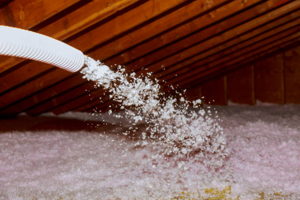 Best Insulation Maintenance and Repair in Sullivan City, TX