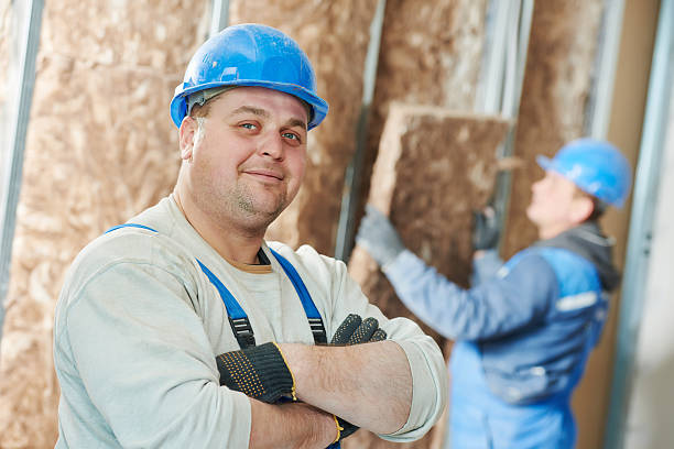 Best Specialty Insulation in Sullivan City, TX