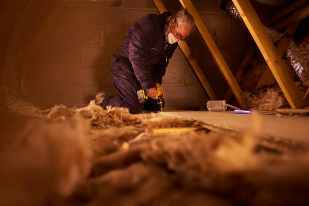 Best Energy Efficiency Solutions in Sullivan City, TX