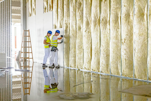Best Types of Insulation in Sullivan City, TX